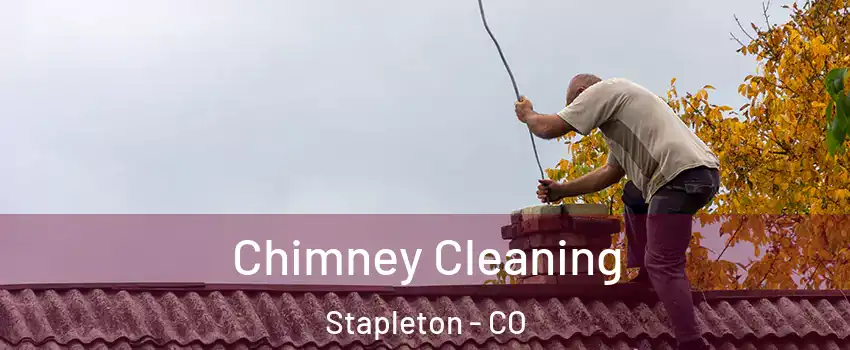 Chimney Cleaning Stapleton - CO