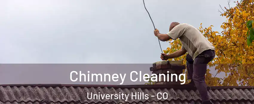 Chimney Cleaning University Hills - CO