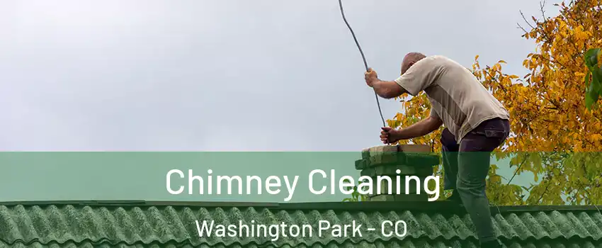 Chimney Cleaning Washington Park - CO