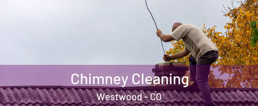 Chimney Cleaning Westwood - CO