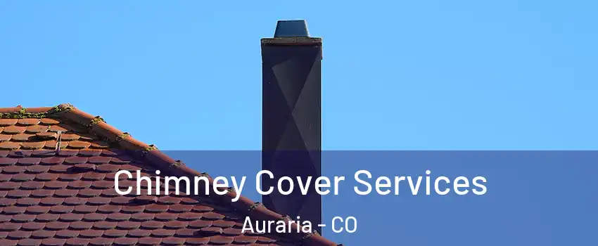 Chimney Cover Services Auraria - CO