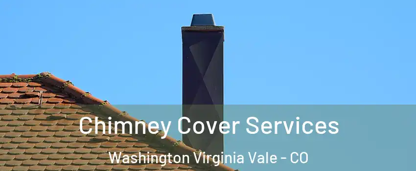 Chimney Cover Services Washington Virginia Vale - CO