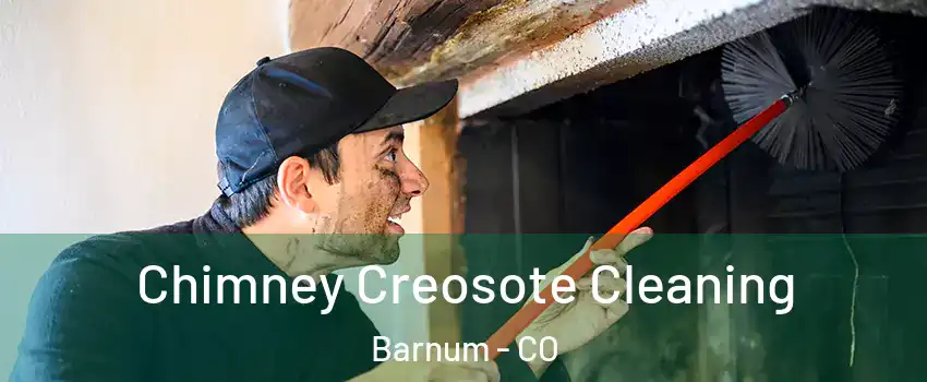 Chimney Creosote Cleaning Barnum - CO