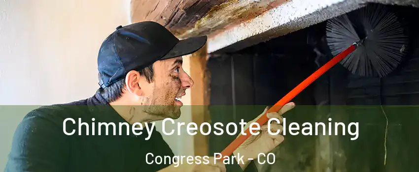 Chimney Creosote Cleaning Congress Park - CO