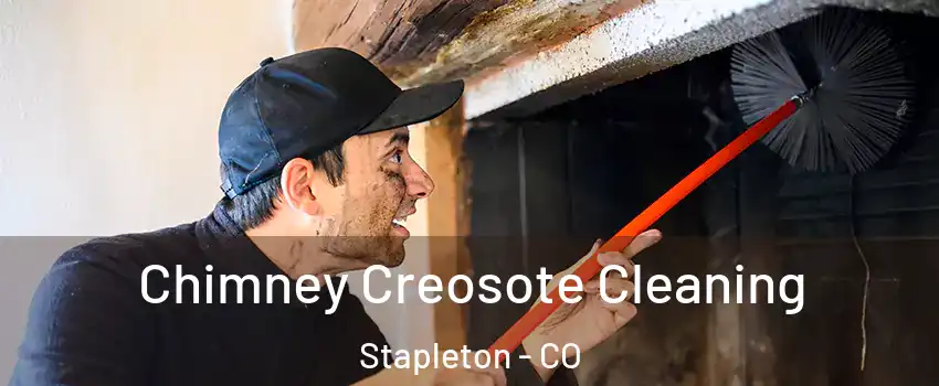 Chimney Creosote Cleaning Stapleton - CO