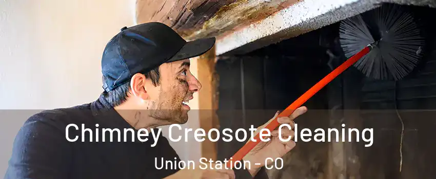 Chimney Creosote Cleaning Union Station - CO