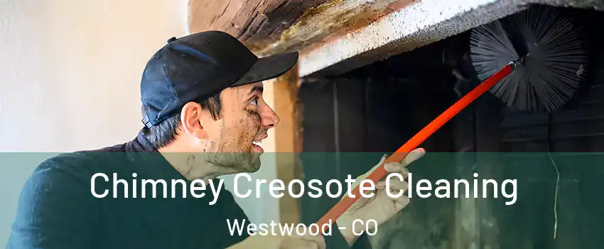 Chimney Creosote Cleaning Westwood - CO