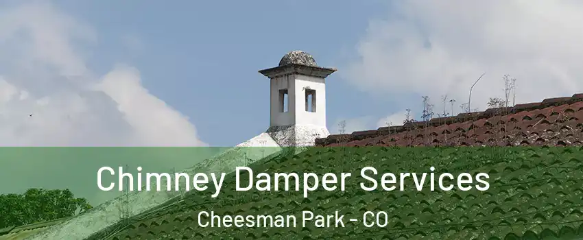 Chimney Damper Services Cheesman Park - CO