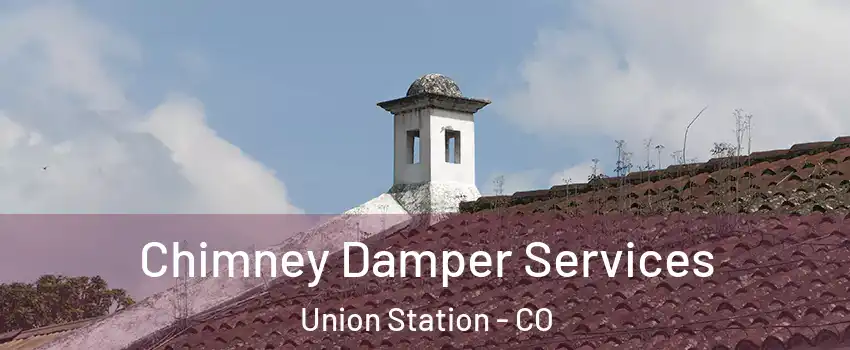 Chimney Damper Services Union Station - CO