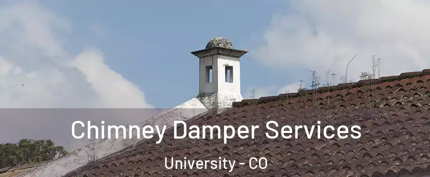 Chimney Damper Services University - CO