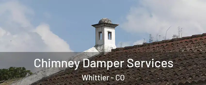 Chimney Damper Services Whittier - CO