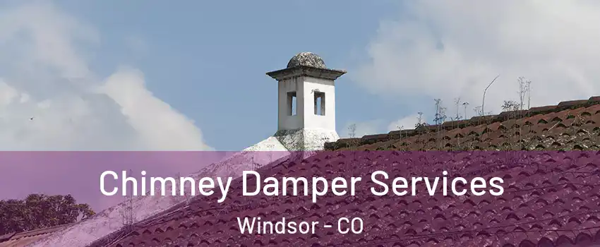 Chimney Damper Services Windsor - CO