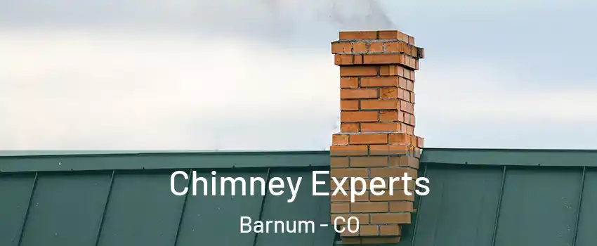 Chimney Experts Barnum - CO