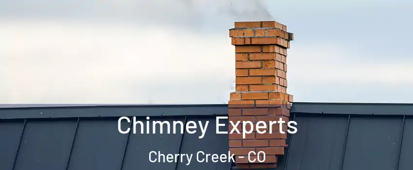 Chimney Experts Cherry Creek - CO