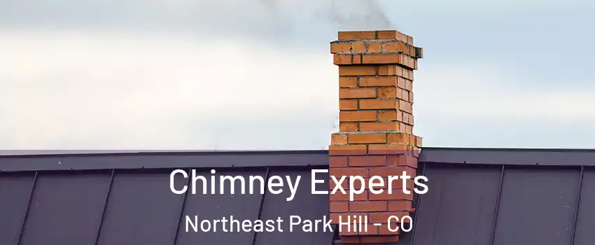 Chimney Experts Northeast Park Hill - CO