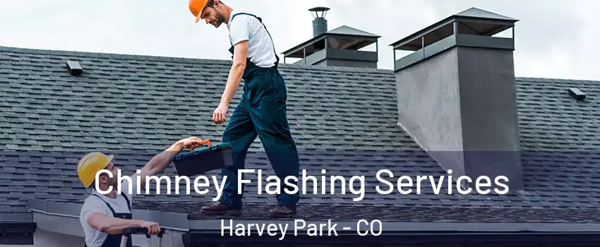 Chimney Flashing Services Harvey Park - CO