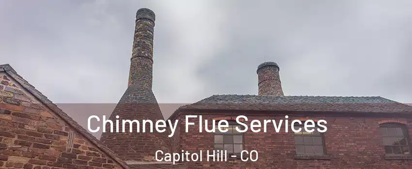 Chimney Flue Services Capitol Hill - CO