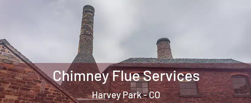 Chimney Flue Services Harvey Park - CO