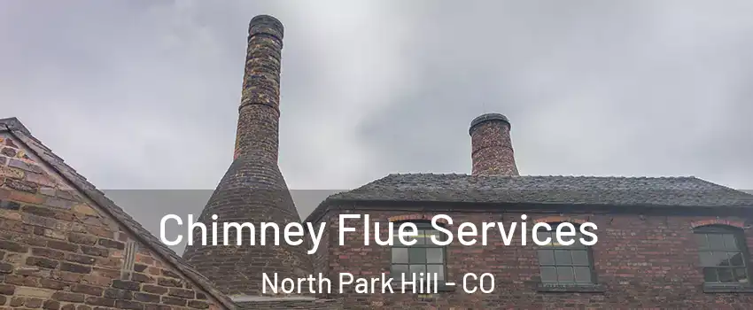 Chimney Flue Services North Park Hill - CO