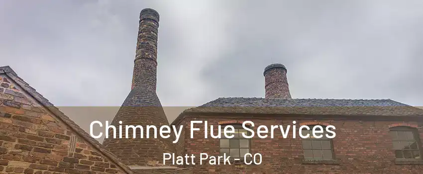 Chimney Flue Services Platt Park - CO