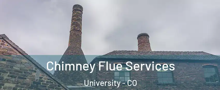 Chimney Flue Services University - CO