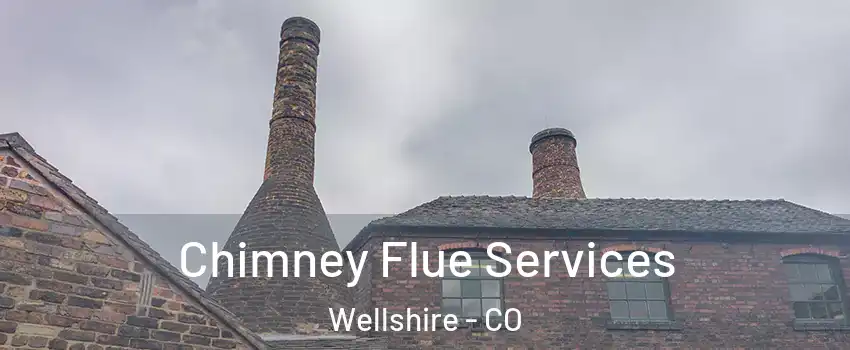 Chimney Flue Services Wellshire - CO