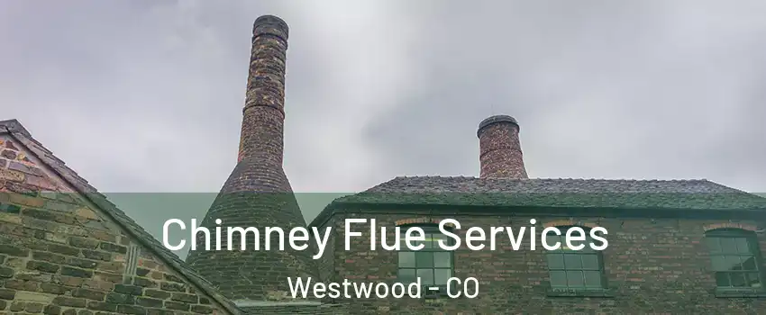 Chimney Flue Services Westwood - CO