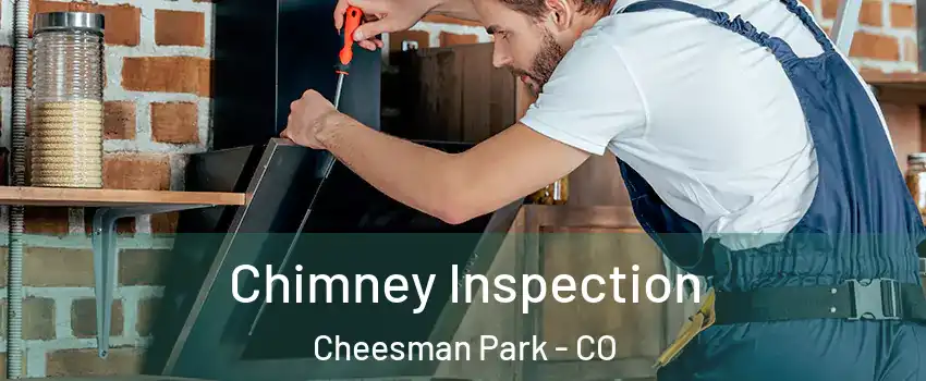 Chimney Inspection Cheesman Park - CO