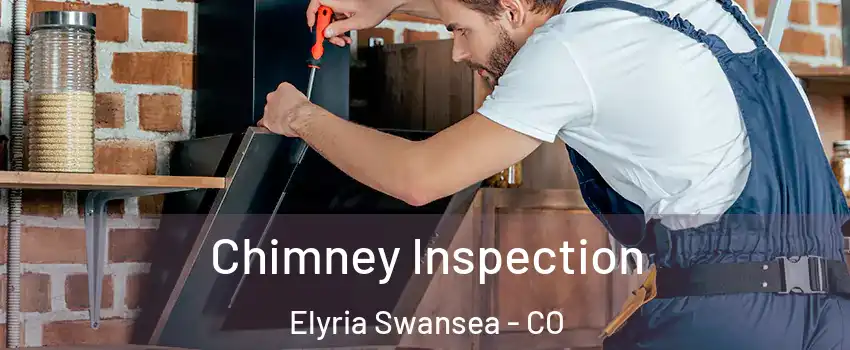 Chimney Inspection Elyria Swansea - CO