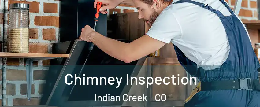 Chimney Inspection Indian Creek - CO