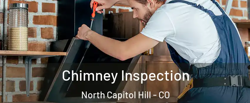 Chimney Inspection North Capitol Hill - CO