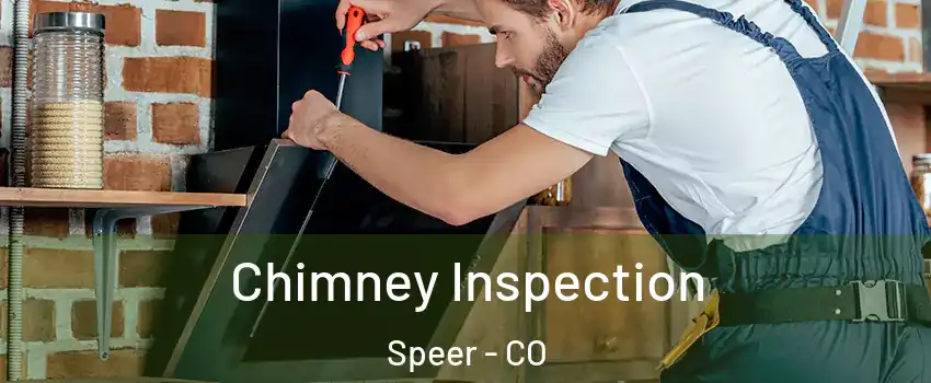 Chimney Inspection Speer - CO