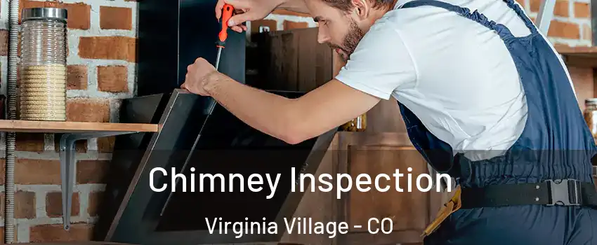 Chimney Inspection Virginia Village - CO