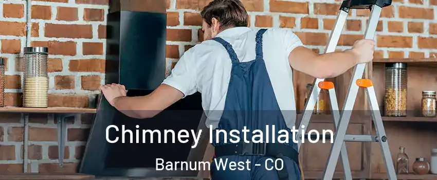 Chimney Installation Barnum West - CO