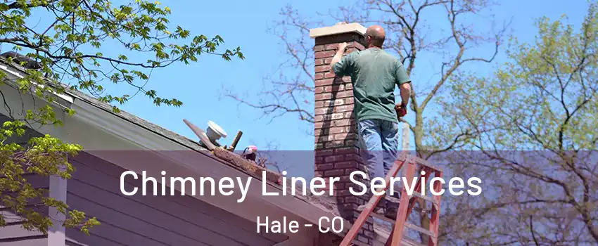 Chimney Liner Services Hale - CO