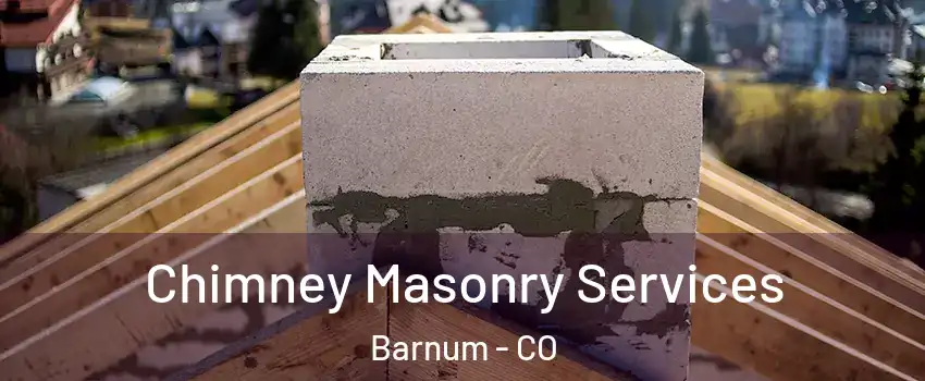 Chimney Masonry Services Barnum - CO