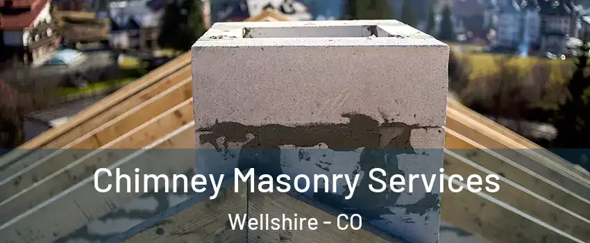 Chimney Masonry Services Wellshire - CO