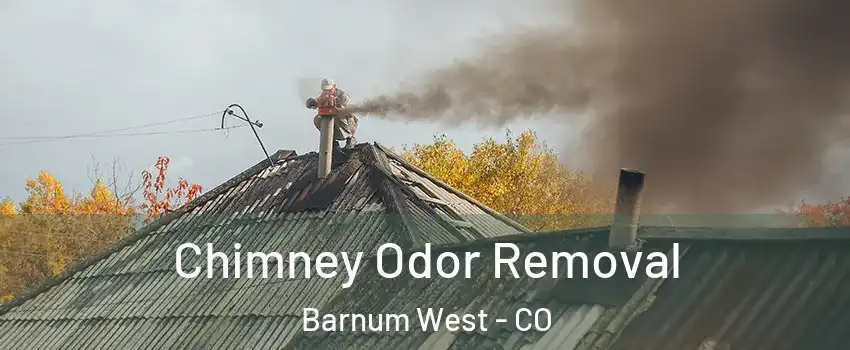 Chimney Odor Removal Barnum West - CO