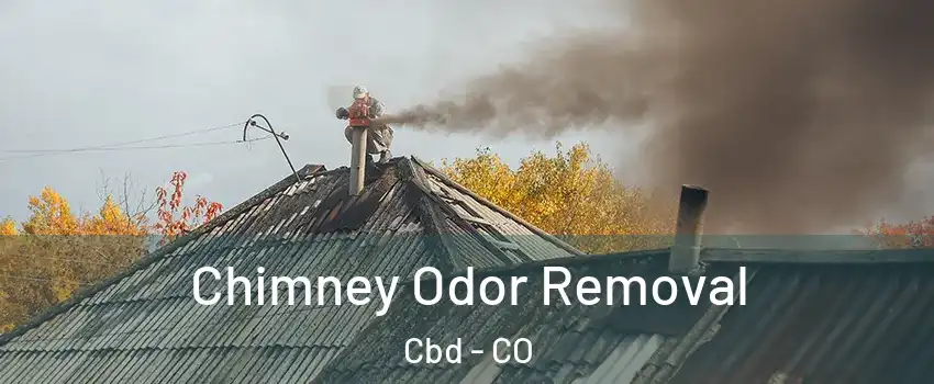 Chimney Odor Removal Cbd - CO