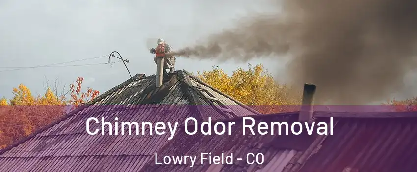 Chimney Odor Removal Lowry Field - CO