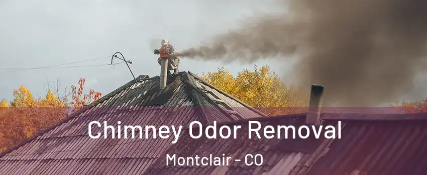 Chimney Odor Removal Montclair - CO