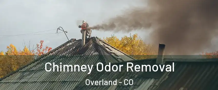 Chimney Odor Removal Overland - CO