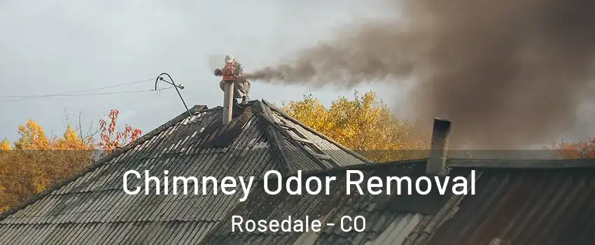 Chimney Odor Removal Rosedale - CO