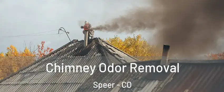 Chimney Odor Removal Speer - CO