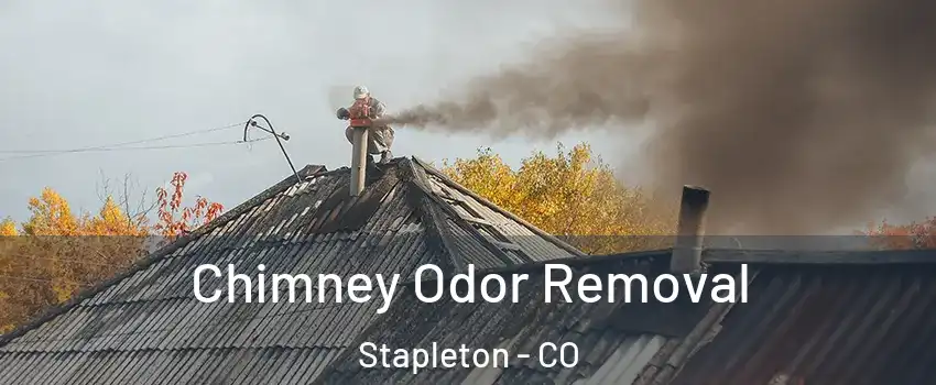 Chimney Odor Removal Stapleton - CO