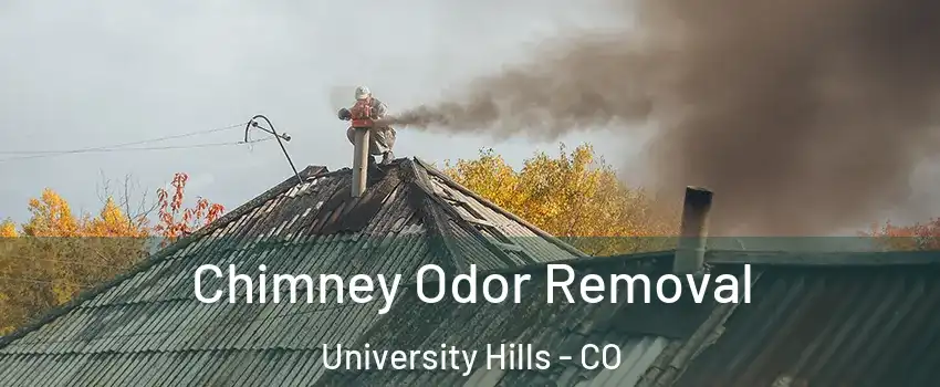 Chimney Odor Removal University Hills - CO