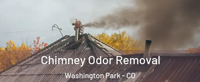 Chimney Odor Removal Washington Park - CO