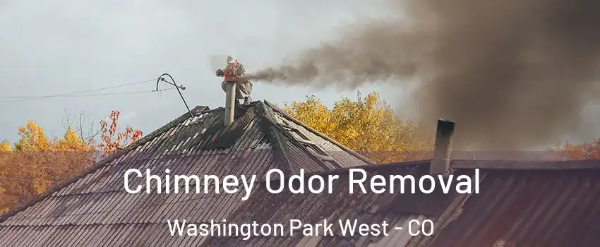 Chimney Odor Removal Washington Park West - CO