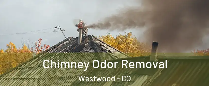 Chimney Odor Removal Westwood - CO