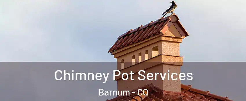 Chimney Pot Services Barnum - CO